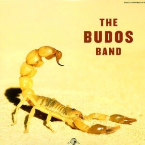 Budos Band, The - II [LP]