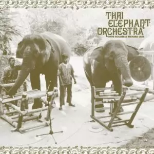 Thai Elephant Orchestra - Thai Elephant Orchestra [LP+7"] (Exclusivo Record Store Day 2021)