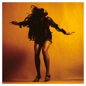Last Shadow Puppets, The - Everything You've Come To Expect [LP]