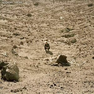 Howard, Ben - Noonday Dream [LP]