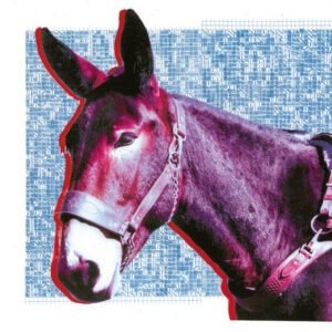 Protomartyr - Ultimate Success Today [LP]