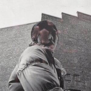 Harding, Aldous - Warm Chris [LP]