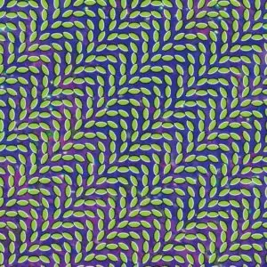 Animal Collective - Merriweather Post Pavilion [2xLP] (Ed. 15th Anniverssary Deluxe, vinilo de color)