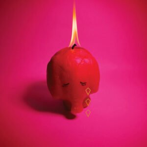 Arcade Fire - Pink Elephant [LP]