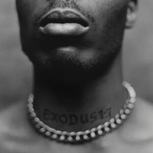DMX - Exodus [LP]